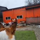 멍스 컨테이너 이미지