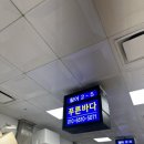 비타민 수산 세꼬시 | [노량진 수산시장 찐맛집] 푸른바다 신선한 명품 모듬...회 도다리세꼬시 포함 솔직 포장체험 후기 (퀵...