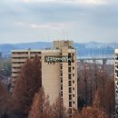 신현대부동산중개법인(주) 이미지