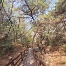 모라 유아숲체험원 이미지