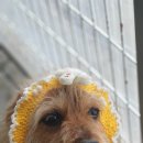 리버하우스 이미지