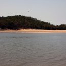 대광해수욕장 이미지