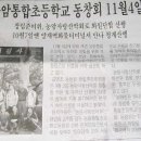 대조-011 이미지