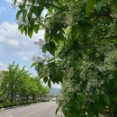 자인계정숲 이미지