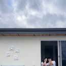 왈왈스테이 이미지