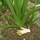 대왕농장 이미지