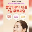 인셀덤부평