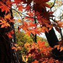 예찬축사 이미지