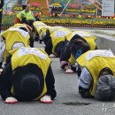 성산구 ⓒ-17 이미지