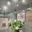 로터스모텔 | 마카오 혼자 여행 숙소 하우스 오브 로터스 蓮居 House of Lotus / 세나도광장 근처 가성비 숙소