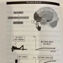 빵드씨엘 | 24년 5월 기록