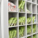 타임한의원 이미지