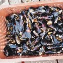 섭스토어 이미지