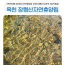 장령산 가든 | [대전 세종 근교 계곡] 장령산 자연휴양림 - 아이와 함께 숲속동굴부터 계곡 물놀이까지!