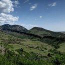 고영삼복싱아카데미 이미지