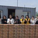 대한적십자사 이미지