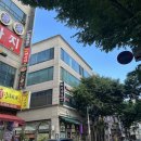 고양이숲 | 안산고양이카페 19마리 고양이가 있는 고양이숲
