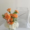 스튜디오하루 이미지