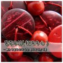 우심 - 고양시 일산서구 킨텍스로 255 | 우심