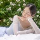아이발레몰
