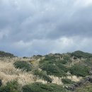 와타스테이 이미지