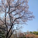 중현어린이공원 이미지