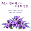 [여의도공원] 야간산책과 [서울달] 이미지