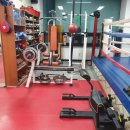 한국체대라학균복싱클럽 이미지