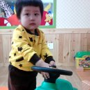 참나무 3형제 이미지