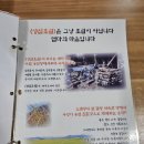 성심사 | 제주 성심조림 ' 고등어조림 맛집 ' 두 번 방문 후기