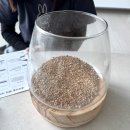 [평생학습 주간] 나만의 작은 테라리움 정원 만들기 | 방학 집콕 취미로 선택한 포러모먼트 테라리움 키트 후기