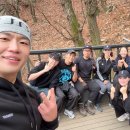 단하나피티 이미지