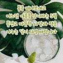 💌목요일 아침 편지💌 5월의 장미 이미지