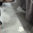 모디페이스