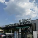 내일의향기 | 원주 소초면 해물순두부•콩국수 맛집 콩향기순두부 방문후기