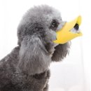 말랑말랑 이미지