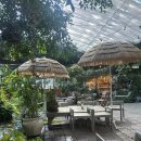 개화-꽃의 노래 | 쿠팡보상쿠폰사용 할인 | 개화예술공원 | 리리스카페