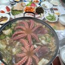 문어시대 이미지