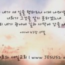 새일목장 네이버블로그