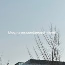 어거스트센트 이미지