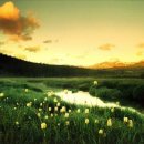 자연의 소리 Ⅱ 이미지