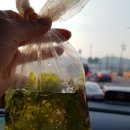 아쿠아프로트레이딩