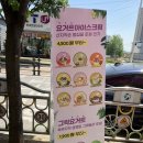 마이요거트립 티스토리