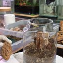 양지로 281번길 | 남양주이색데이트 휴식물디자인샵 테라리움자격증 원데이클래스