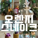 더워시포항 | 포항 오렌지스네이크 내돈내산 찐후기 솔직후기 , 포항 야외카페, 환호동 여남 브런치카페, 포항...