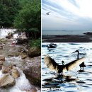 푸른자연 이미지