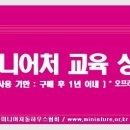 한국미니어처돌하우스협회 이미지