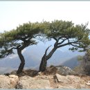 일광여관 이미지