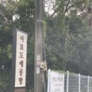 동홍로 | 제주 서귀포 놀 거리 가볼 만한 곳 물레 도자기 공방 세라믹팩토리아토 도자기 체험 후기