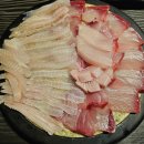해신횟집 | 1등맛집 성서횟집 해신 대방어 줄가자미 솔직후기